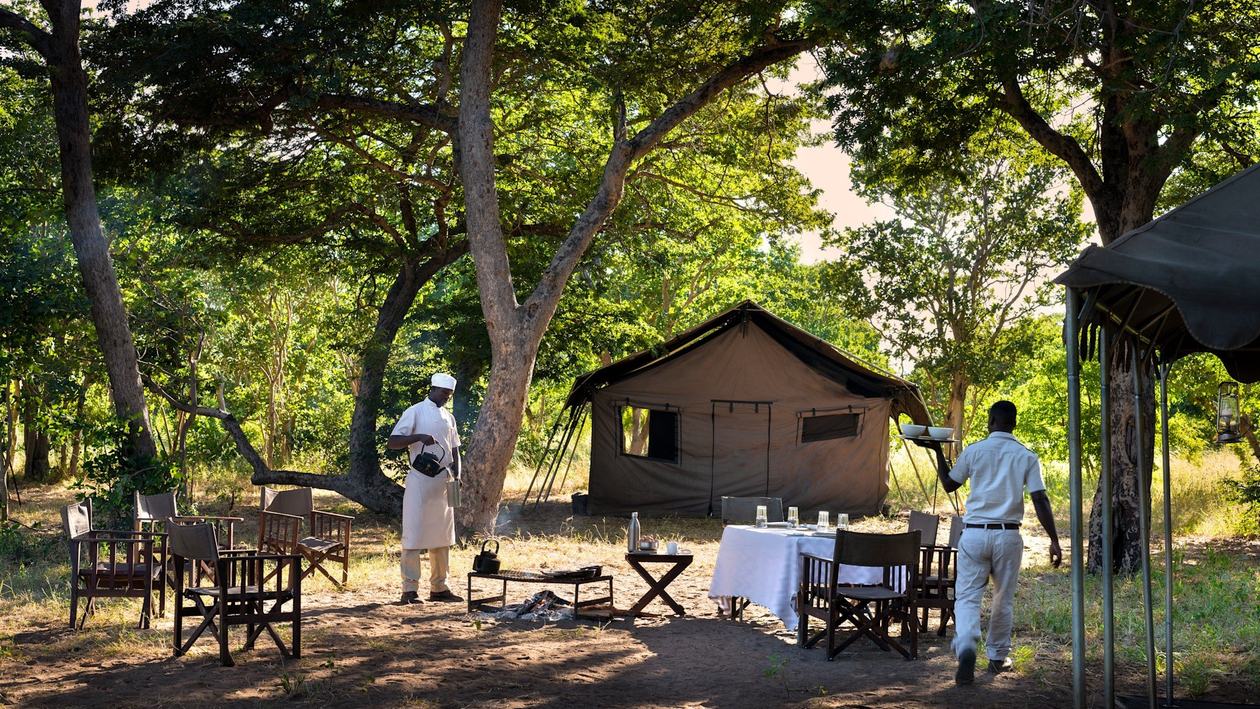 Candlelit bush dinner table set beneath large trees at &Beyond Chobe Under Canvas, Chobe
