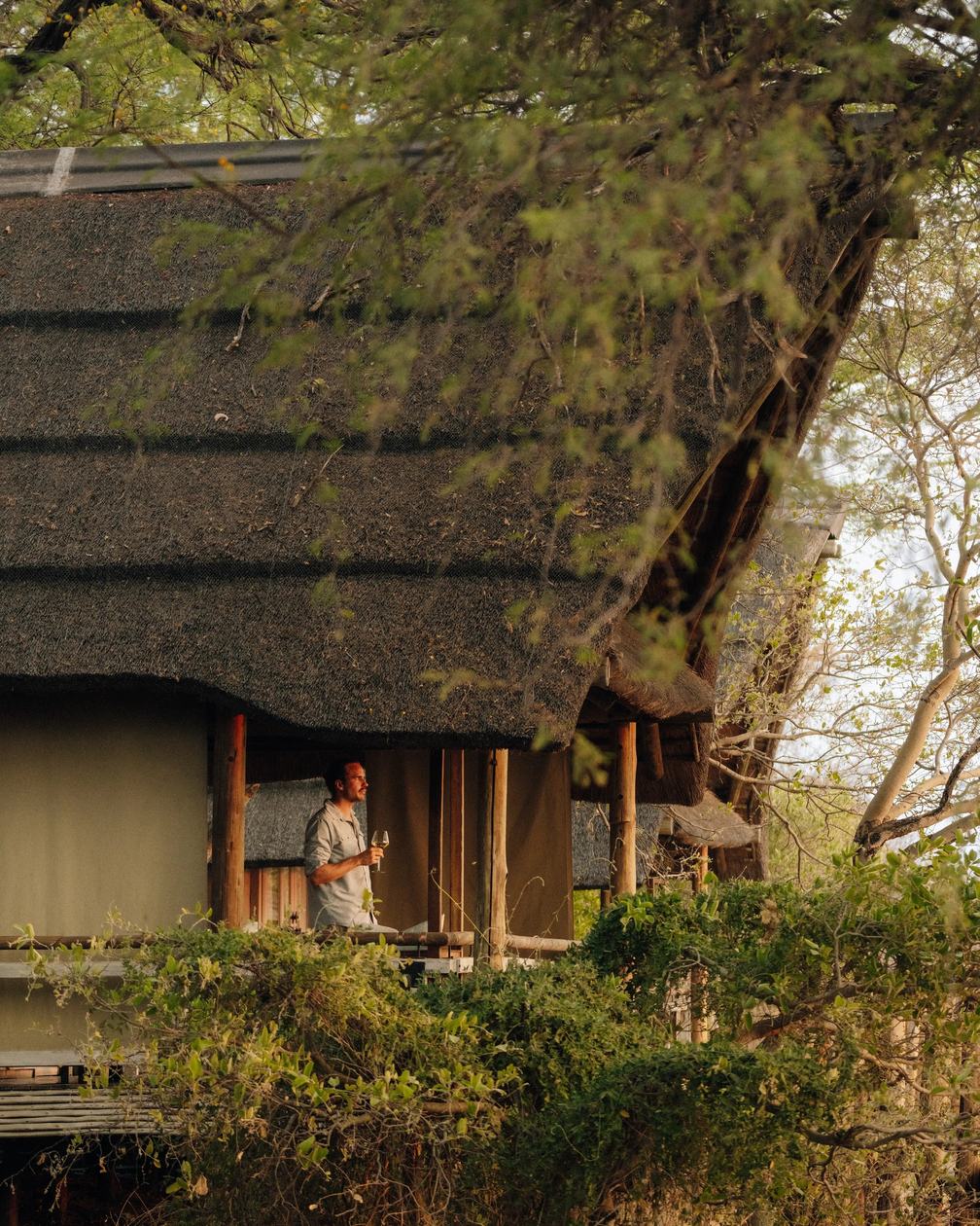 Thatched guest chalet exterior framed by trees at Belmond Savute Elephant Lodge