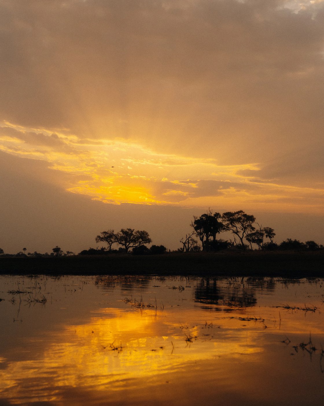 Golden sunset reflected across a waterhole near Belmond Savute Elephant Lodge