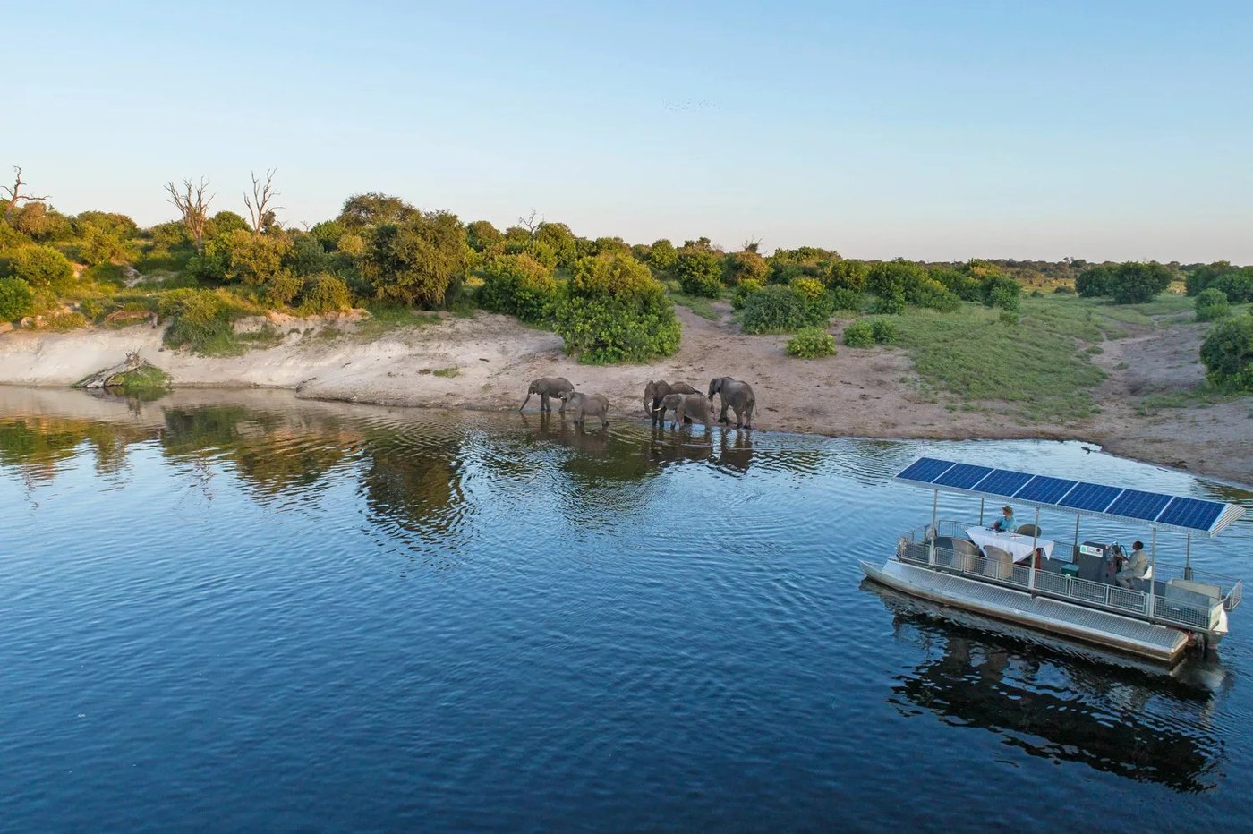 View of the Chobe River with a boat and elephants at Chobe Game Lodge