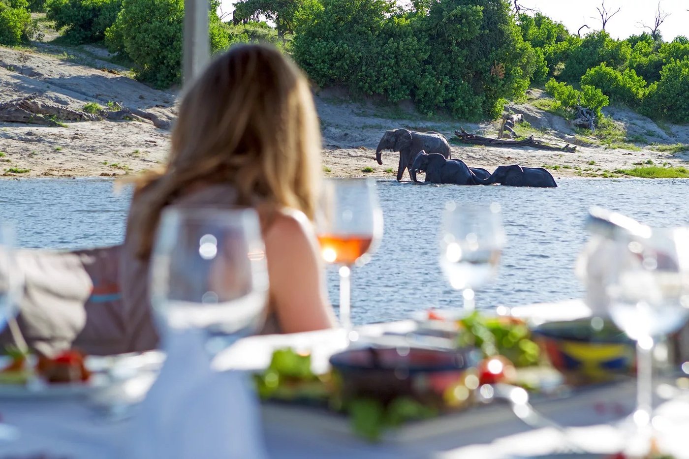 Guest watching elephants drink from the lodge deck at Chobe Game Lodge