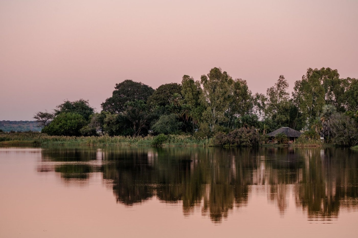Floodplain reflected at dusk near Chobe Marina Lodge
