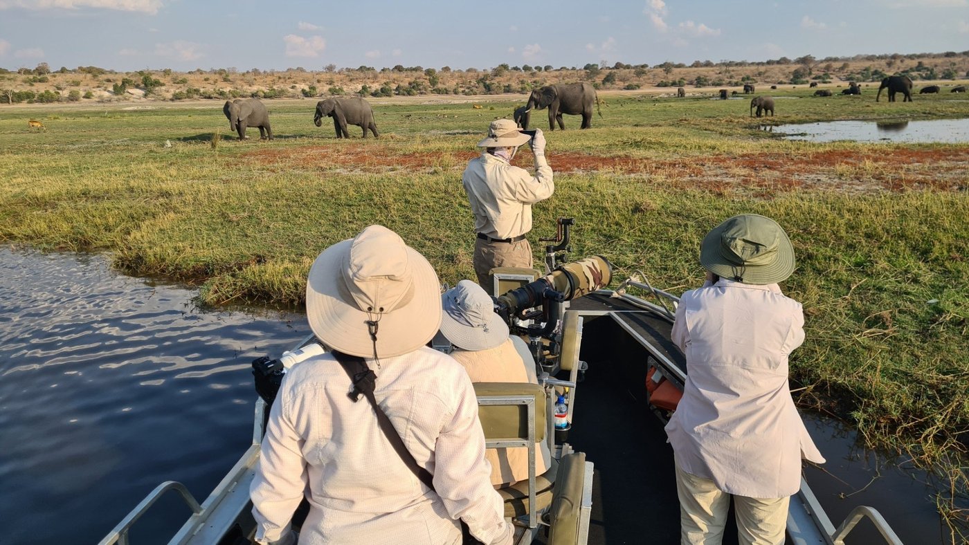 Guides scanning the riverbank with binoculars near Chobe Safari Lodge