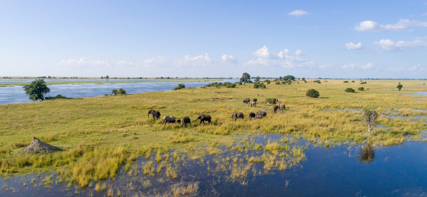 Wide floodplain view with distant elephant herds near Chobe Savanna Lodge