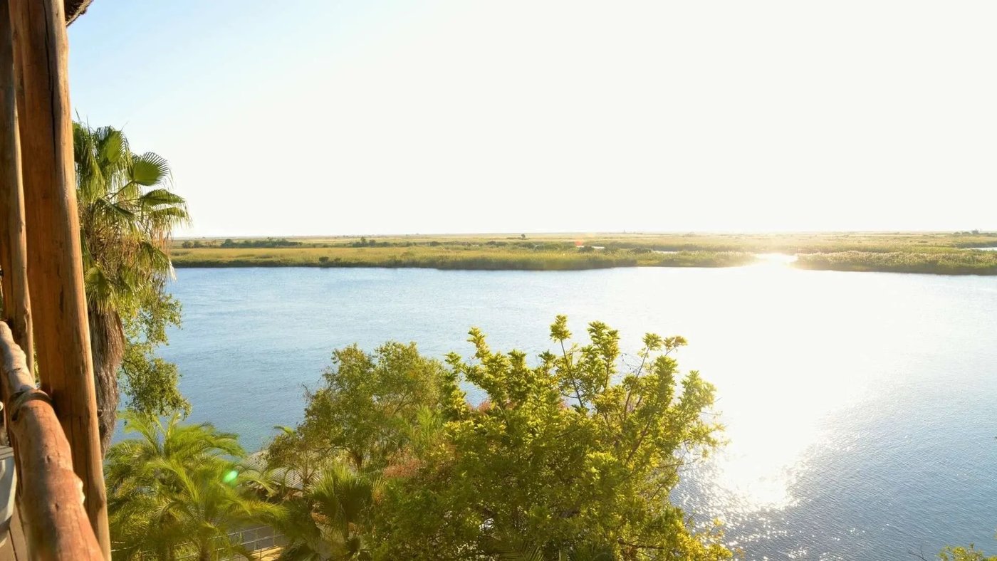Sunset over the floodplain framed by palm trees at Cresta Mowana Safari Resort & Spa