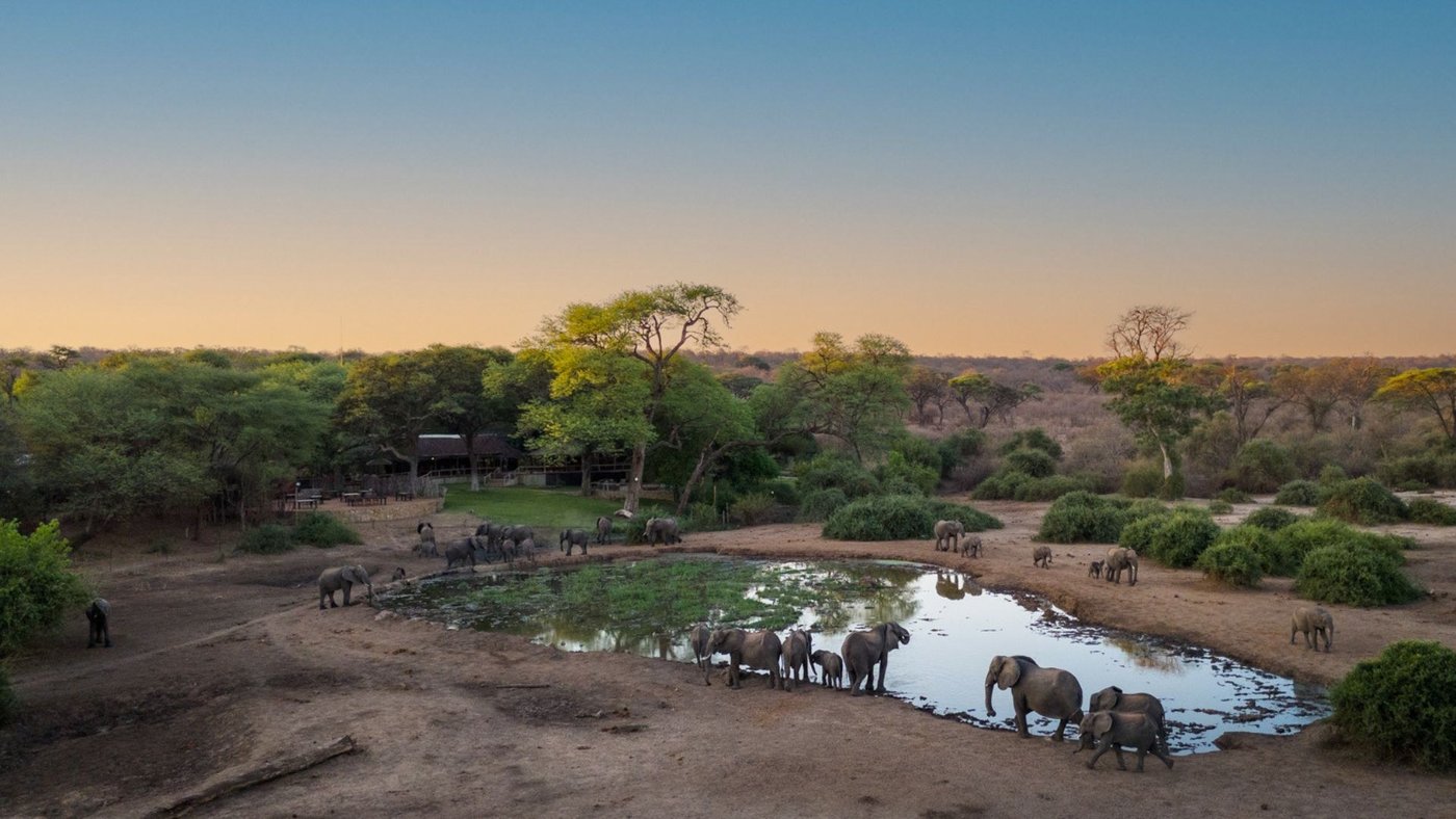 Elephants gathered at the waterhole below the lodge at dusk at Elephant Valley Lodge, Chobe