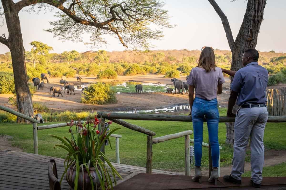 Guests watching elephants at the waterhole from the deck at Elephant Valley Lodge