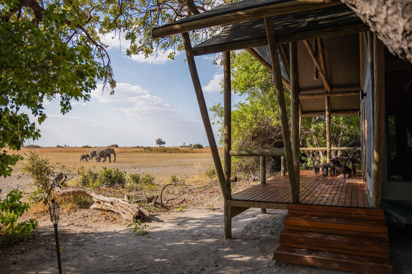 Tent deck overlooking the floodplain with distant elephants at Lebala Camp