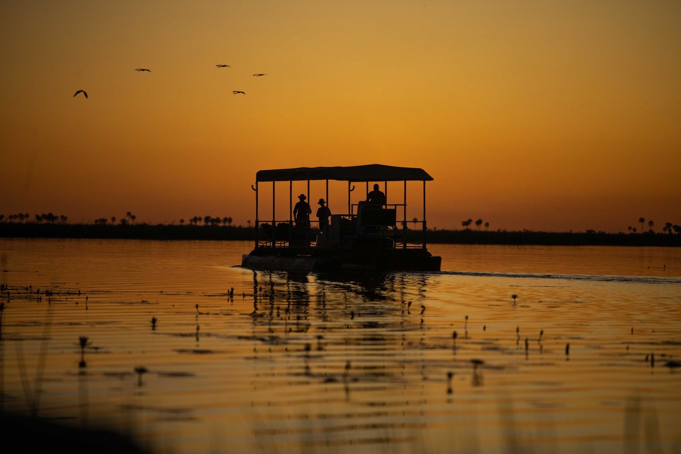 Silhouetted sunset boat cruise with birds overhead at Little DumaTau