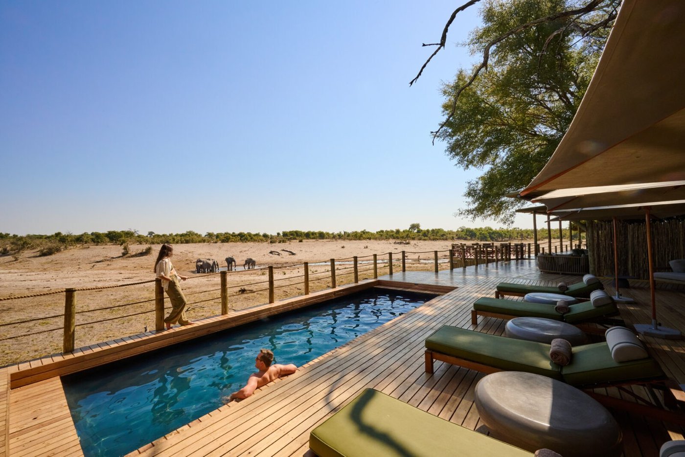 Swimming pool deck overlooking the savanna at Savute Safari Lodge