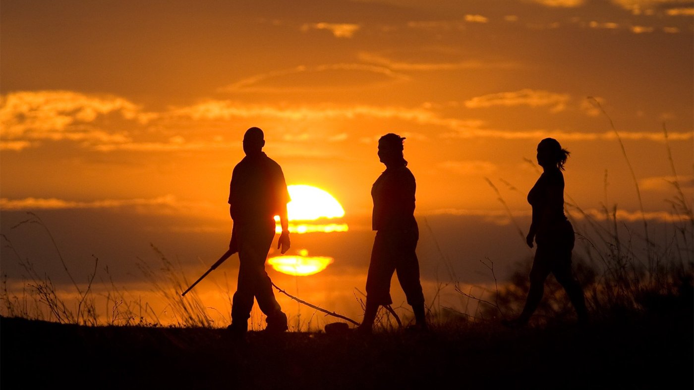 Guides and guests silhouetted on a walking safari at sunset at Selinda Camp