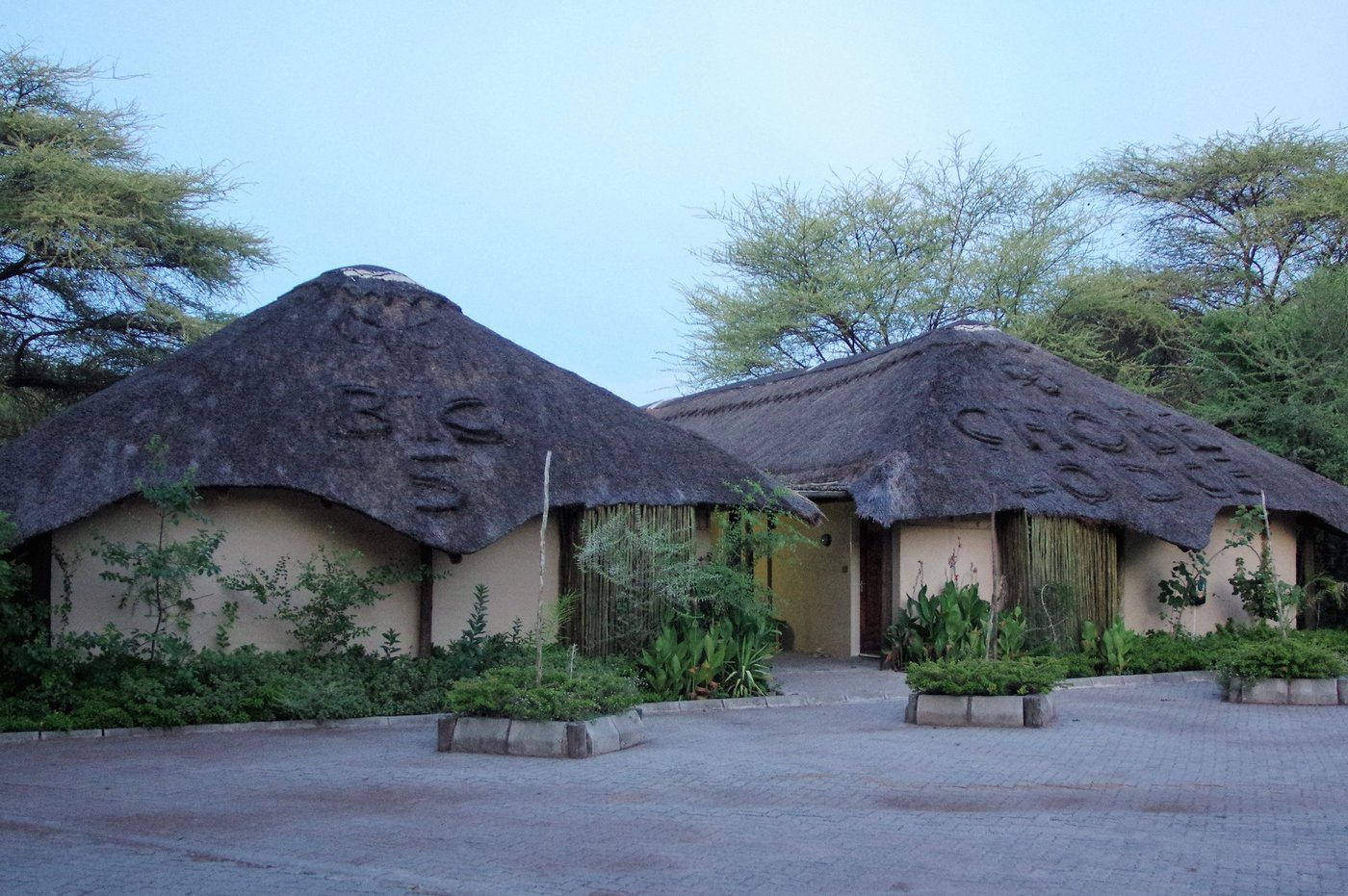 Thatched rondavel building set among trees at Big Five Chobe Lodge, Chobe