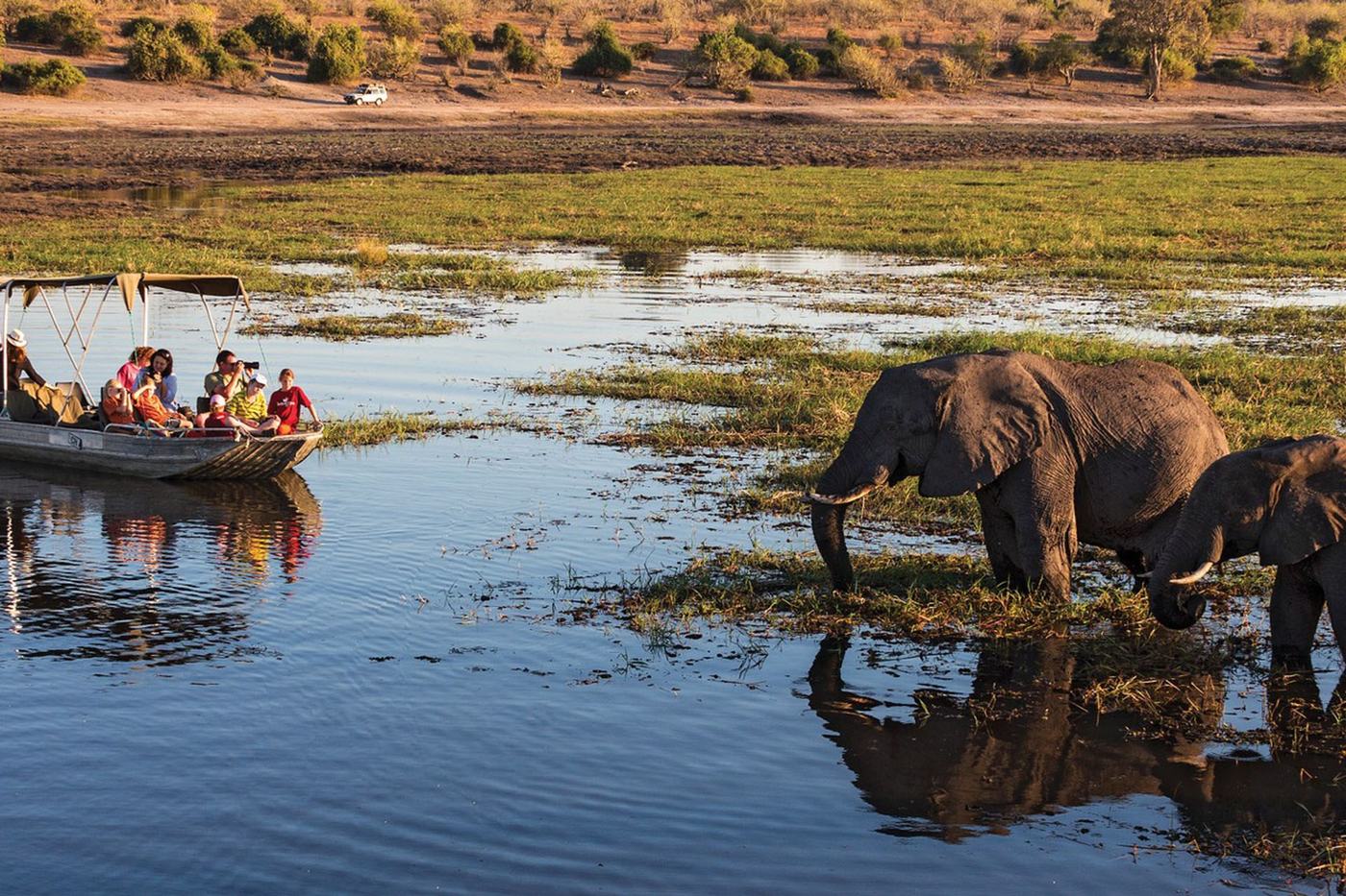Guests on a boat watching an elephant drink at Big Five Chobe Lodge