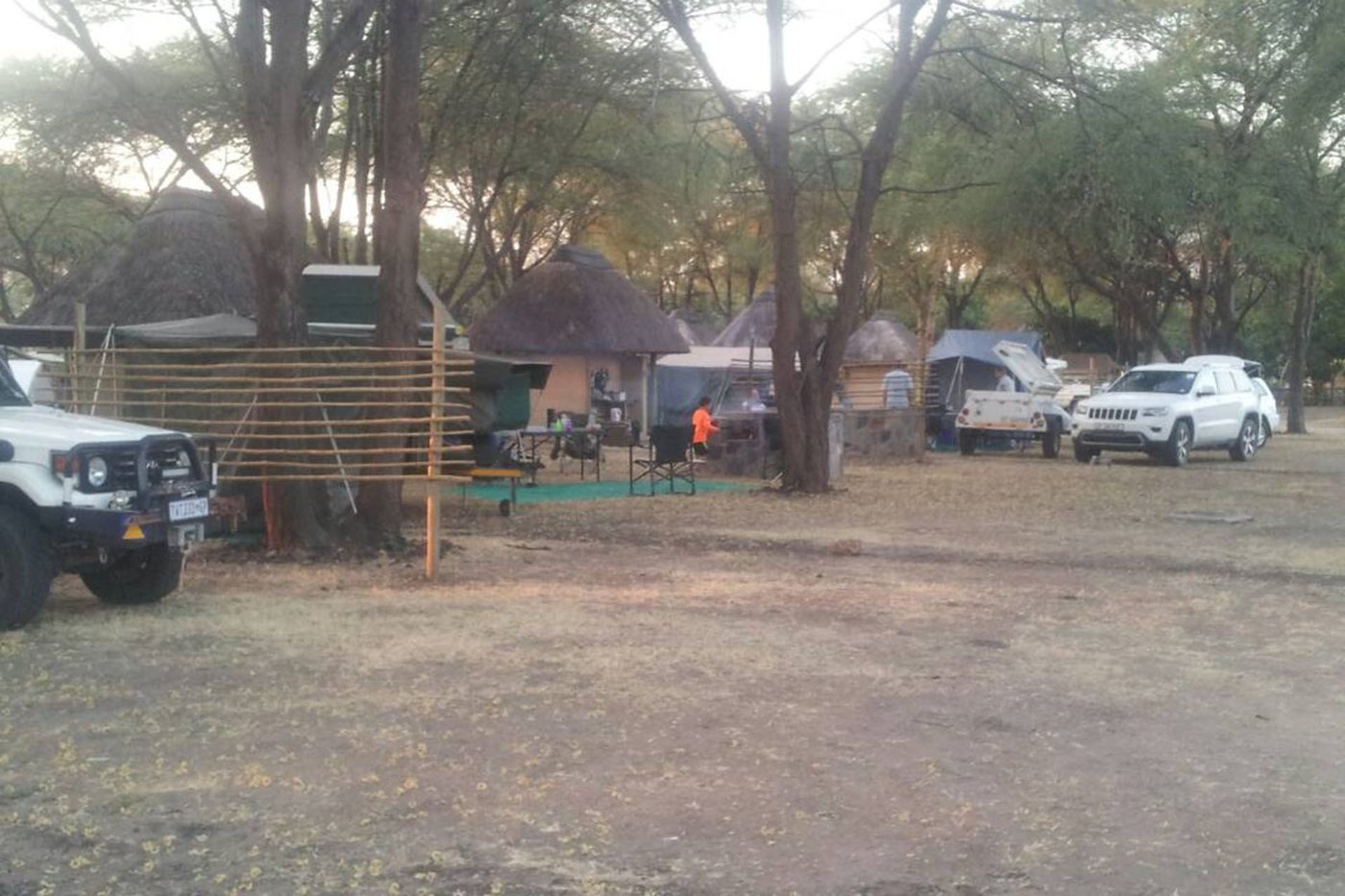 Campsite with vehicles parked beneath large trees at Big Five Chobe Lodge