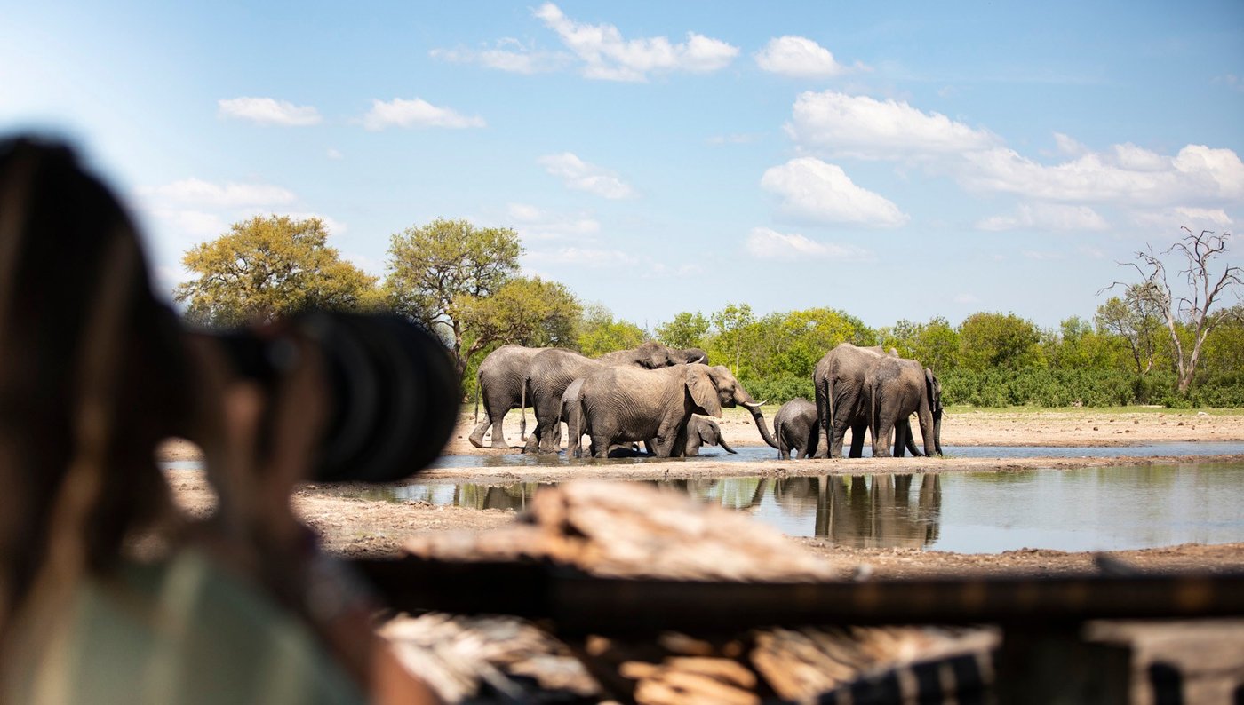 Guest photographing elephants at the waterhole near Wilderness Savuti
